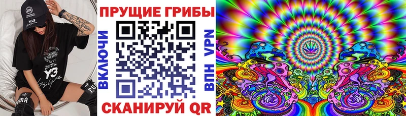 Псилоцибиновые грибы Magic Shrooms  Купить закладки  Боровичи 